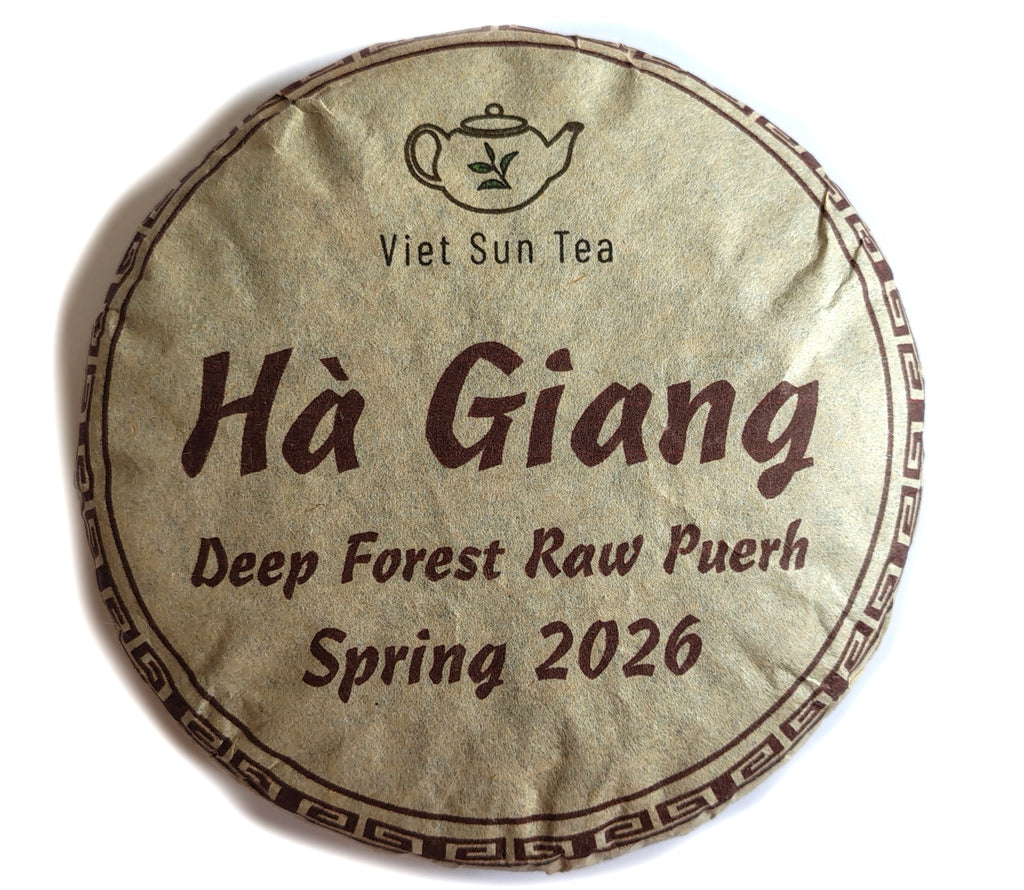 2026 VietSun Ha Giang Deep Forest Raw Puerh Cake