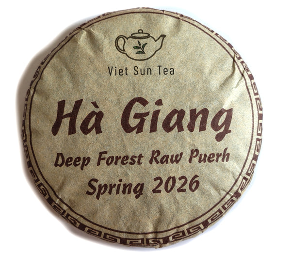 2026 VietSun Ha Giang Deep Forest Raw Puerh Cake