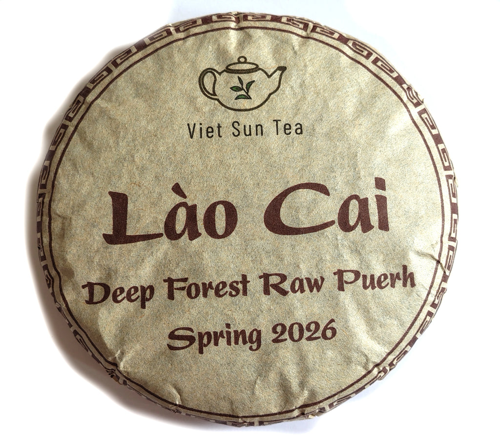 2026 VietSun Lào Cai Deep Forest Raw Puerh Cake