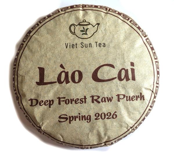 2026 VietSun Lào Cai Deep Forest Raw Puerh Cake