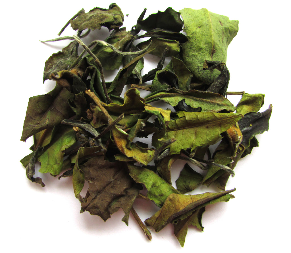 Taiwan Qing Xin White Tea