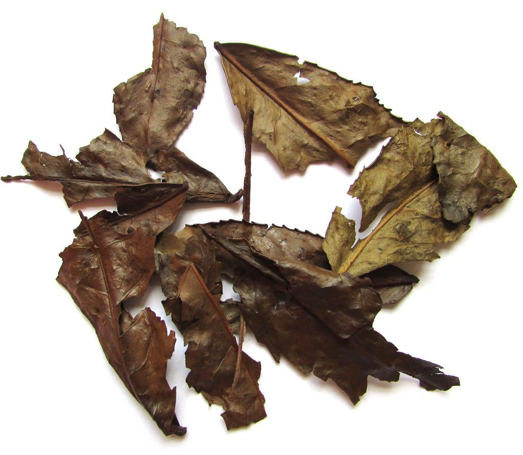 Japan Obubu Kyobancha Green Tea