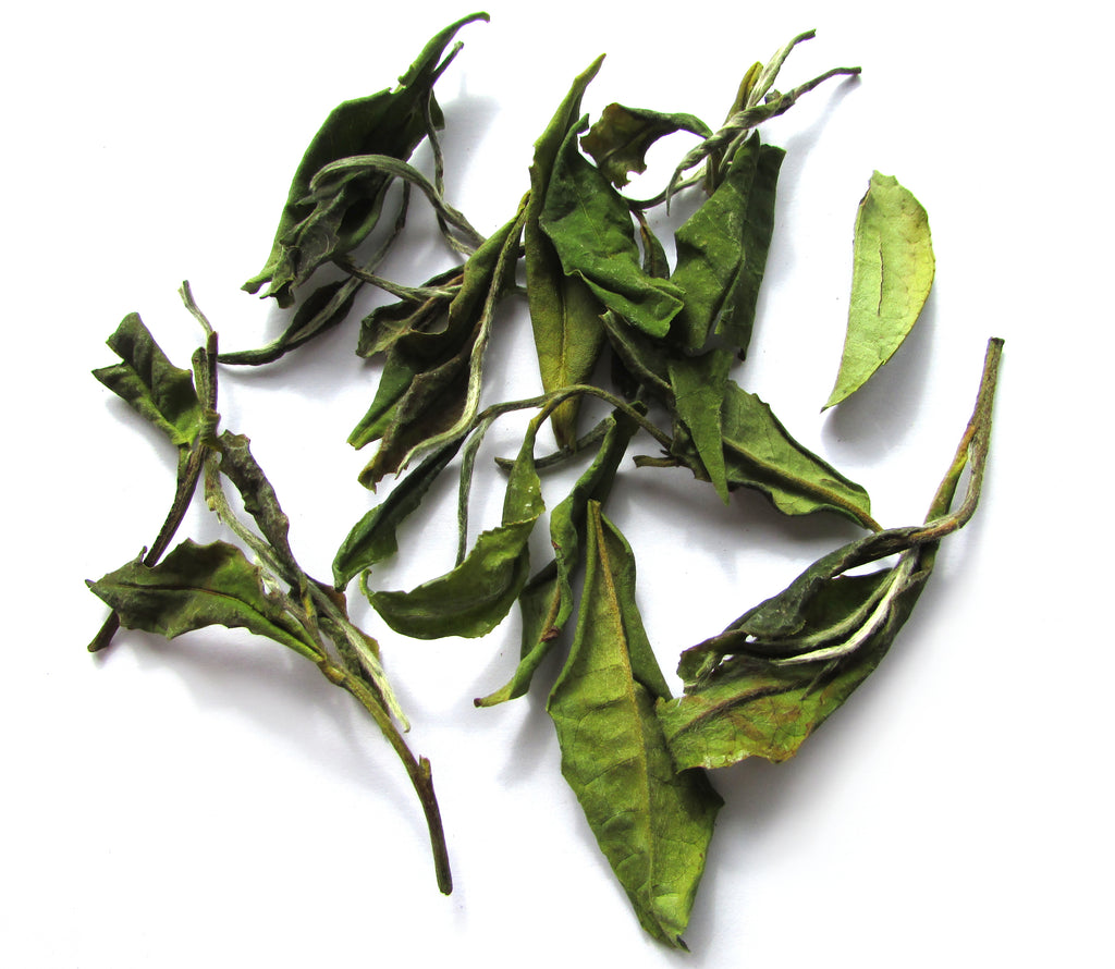 Taiwan #23 Qi Yun White Tea