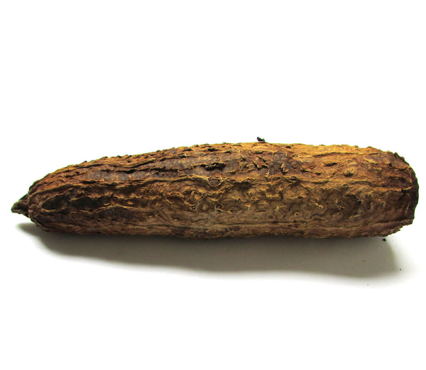 China Fujian Anxi 2008 Heavy Roasted Tie Guan Yin Oolong Tea in Bitter Melon