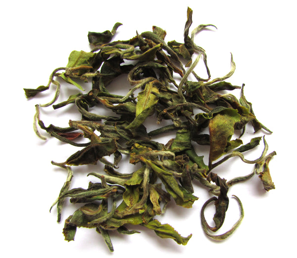 India Darjeeling Rohini "2021 First Production" 'Jethi Kupi' Black Tea