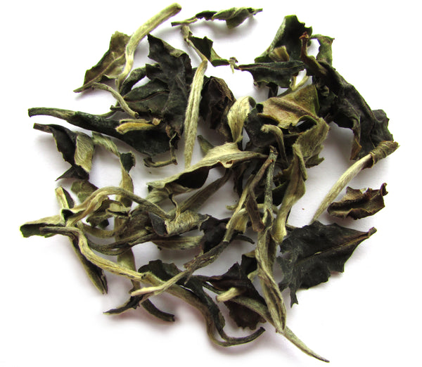 China Yunnan Moonlight White Tea