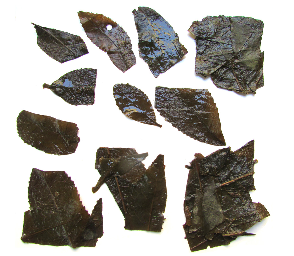Japan Bancha Goishicha Dark Tea