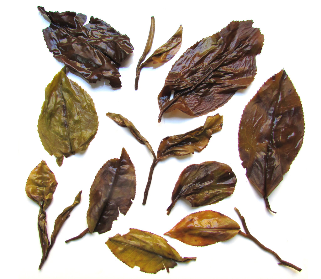 Malawi Livingstone's Twist & Dry Oolong Tea